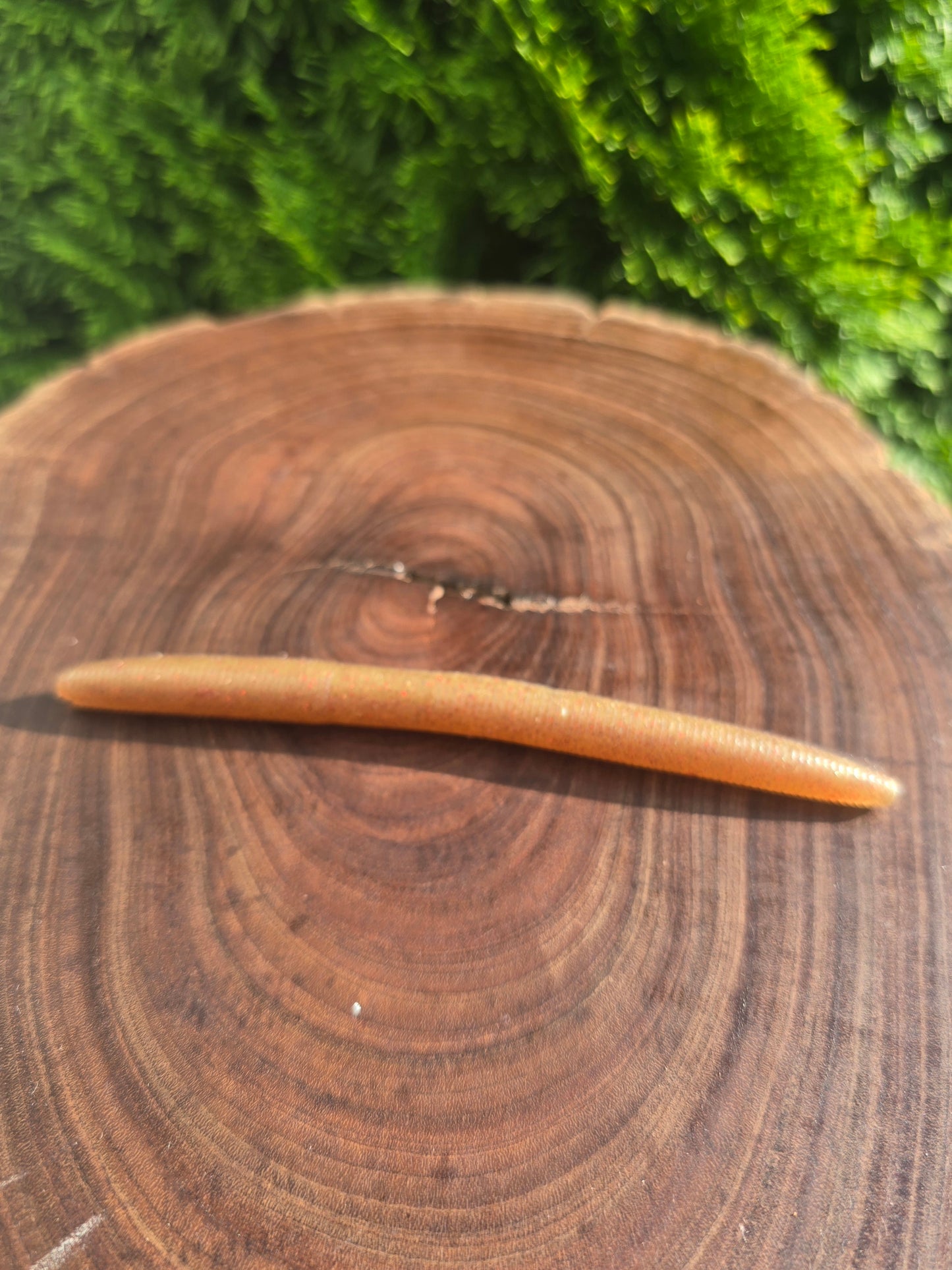 Twitchsticks 5" (8pk)