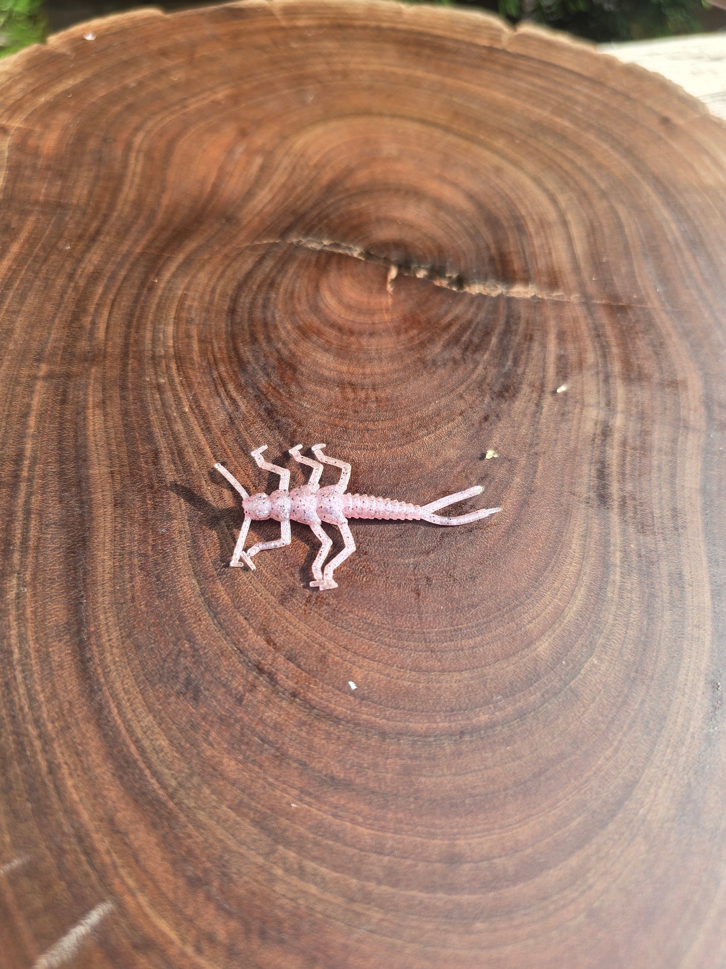 Clinch Bug (20pk)