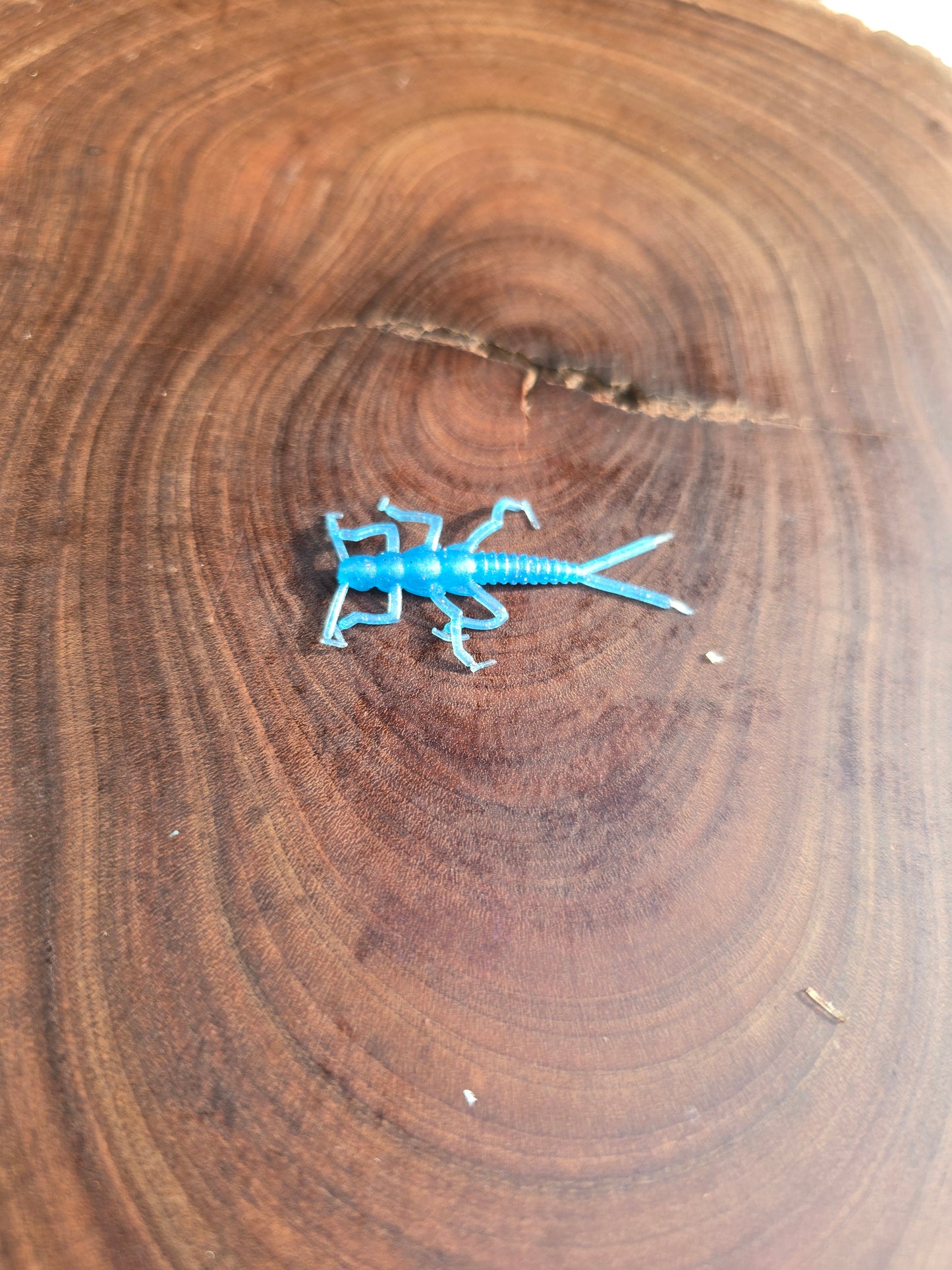 Clinch Bug (20pk)
