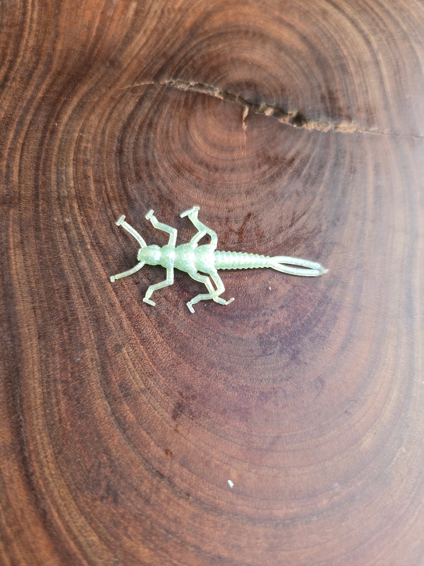Clinch Bug (20pk)